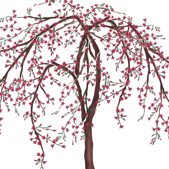 Weeping Cherry Tree Wall Stencil | 2098 by Designer Stencils | Animal & Nature Stencils | Reusable Art Craft Stencils for Painting on Walls, Canvas, Wood | Reusable Plastic Paint Stencil for Home Makeover | Easy to Use & Clean Art Stencil {2}