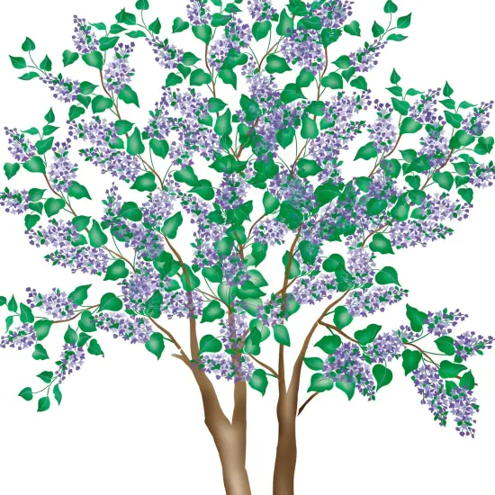 Small Lilac Tree-Shrub Wall Stencil | 2475 by Designer Stencils | Animal & Nature Stencils | Reusable Art Craft Stencils for Painting on Walls, Canvas, Wood | Reusable Plastic Paint Stencil for Home Makeover | Easy to Use & Clean Art Stencil {2}