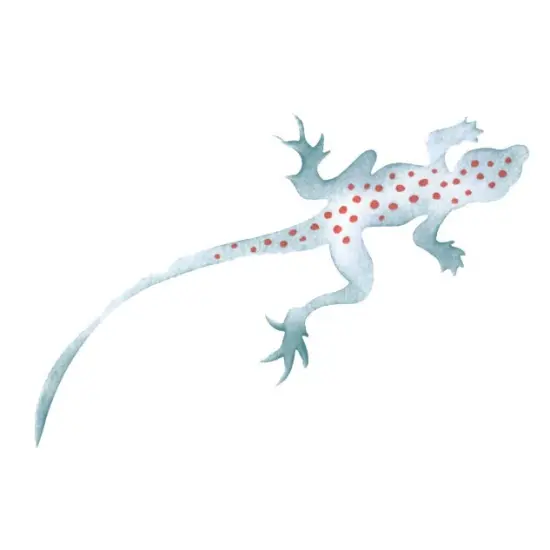 Lizard Wall Stencil | 2273 by Designer Stencils | Animal & Nature Stencils | Reusable Art Craft Stencils for Painting on Walls, Canvas, Wood | Reusable Plastic Paint Stencil for Home Makeover | Easy to Use & Clean Art Stencil {1}