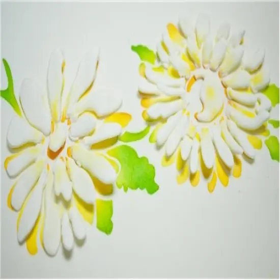 Daisy Cake Stencil | C356 by Designer Stencils | Cake Decorating Tools | Baking Stencils for Royal Icing, Airbrush, Dusting Powder | Reusable Plastic Food Grade Stencil for Cakes | Easy to Use & Clean Cake Stencil {3}