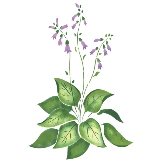 Large Hosta Wall Stencil | 1868 by Designer Stencils | Floral Stencils | Reusable Art Craft Stencils for Painting on Walls, Canvas, Wood | Reusable Plastic Paint Stencil for Home Makeover | Easy to Use & Clean Art Stencil {1}