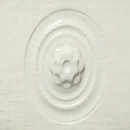 AMACO Potter's Choice C-10 Snow {2}