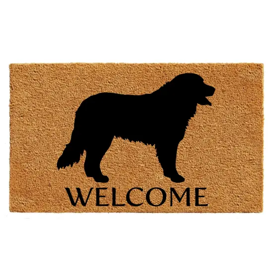 105701729 Bernese Mountain Dog Doormat {1}