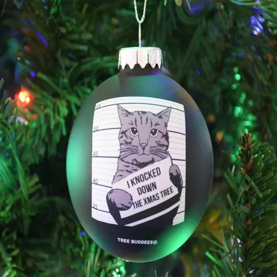 Cat Mugshot Glass Christmas Ornament {5}