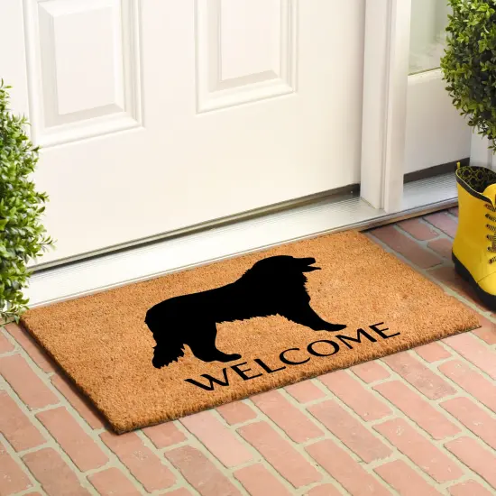 105701729 Bernese Mountain Dog Doormat {3}