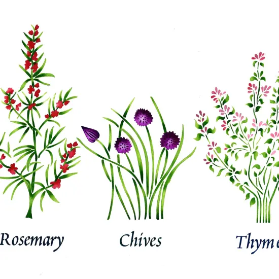 Large Standing Herbs: Rosemary, Chives, Thyme Wall Stencil | 2230R by Designer Stencils | Word & Phrase Stencils | Reusable Art Craft Stencils for Painting on Walls, Canvas, Wood | Reusable Stencil for Home Makeover | Easy to Use & Clean {2}
