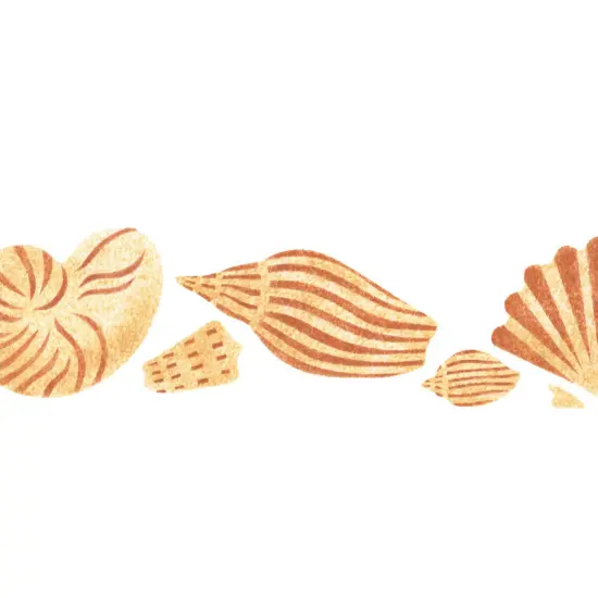 Detailed Shell Wall Stencil Border | 097 by Designer Stencils | Animal & Nature Stencils | Reusable Art Craft Stencils for Painting on Walls, Canvas, Wood | Reusable Plastic Paint Stencil for Home Makeover | Easy to Use & Clean Art Stencil {2}