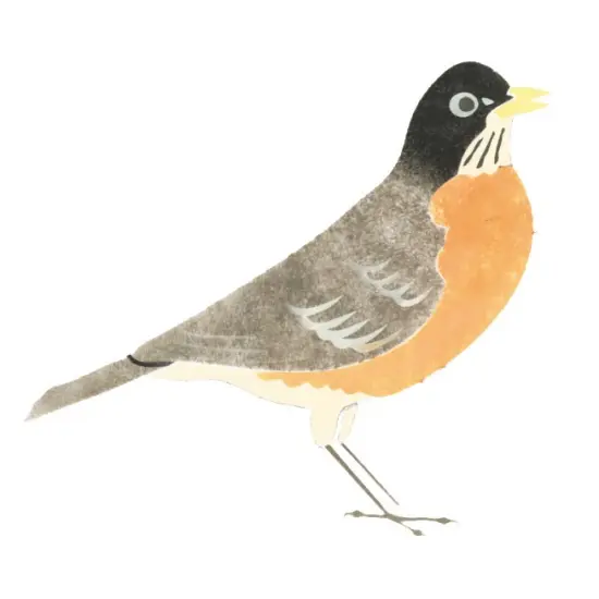 Robin Wall Stencil | 1699 by Designer Stencils | Animal & Nature Stencils | Reusable Art Craft Stencils for Painting on Walls, Canvas, Wood | Reusable Plastic Paint Stencil for Home Makeover | Easy to Use & Clean Art Stencil {1}