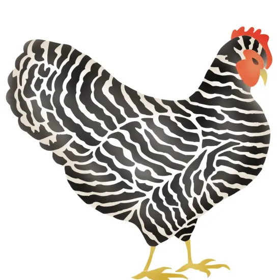 Zebra Chicken Wall Stencil | 2509 by Designer Stencils | Animal & Nature Stencils | {2}