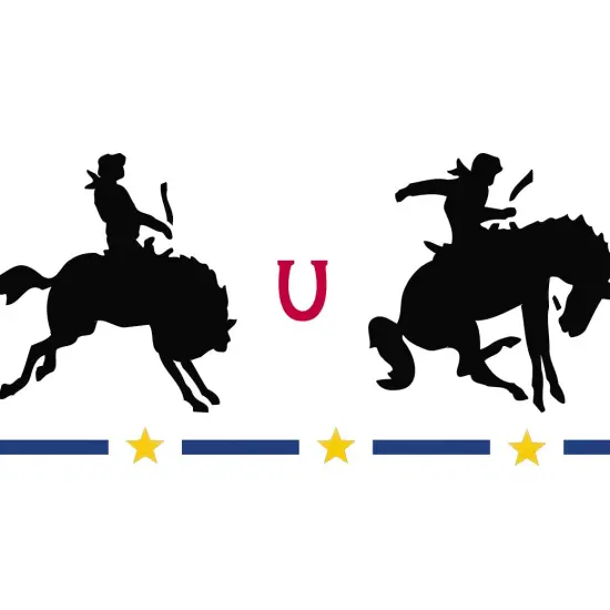 Bucking Broncos Silhouettes Wall Stencil | 2253 by Designer Stencils | Animal & Nature Stencils | Reusable Art Craft Stencils for Painting on Walls, Canvas, Wood | Reusable Plastic Paint Stencil for Home Makeover | Easy to Use & Clean Art Stencil {2}