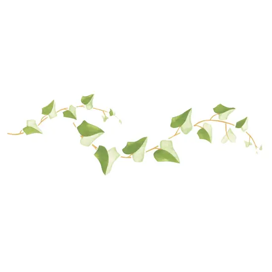 4.5-Inch Ivy Wall Stencil Border | 101 by Designer Stencils | Floral Stencils | Reusable Art Craft Stencils for Painting on Walls, Canvas, Wood | Reusable Plastic Paint Stencil for Home Makeover | Easy to Use & Clean Art Stencil {1}