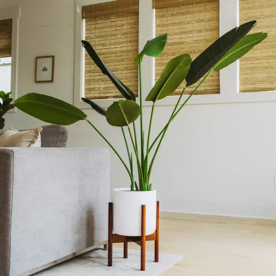 Bird of Paradise Artificial Plant - Fake Plants Tall, Tall Plants for Living Room Decor, Artificial Plants Indoor - Faux Plants Indoor Tall, Tall Fake Plants Indoor, Banana Tree, Banana Plant (5 FEET) {3}
