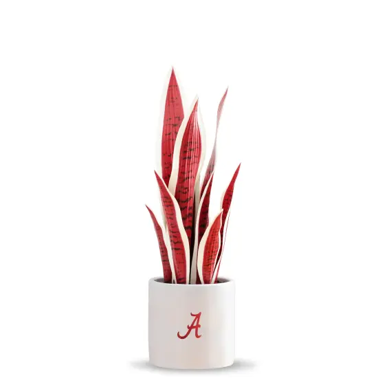 Alabama Snake Plant - University of Alabama Faux Snake Plant - Alabama Gifts for Men, Alabama Gifts for Women - Alabama Gifts, Crimson Tide Decorations - Office Accessories for Men {1}