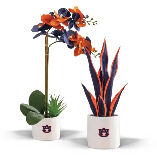 Auburn Tigers Faux Snake Plant and Orchid (2 Pack) - Fan-Favorite Gift Bundle {1}