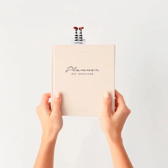 Book Accessory, Wicked Witch of the West, Gift for Book Lover, Book marks Women {5}