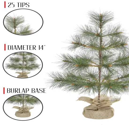 Perfect Holiday 24" Tabletop Mountain Pine Christmas Tree With Burlap Base {5}