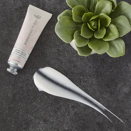 DII Antique Green Lattice Dishtowel (Set Of 2) {5}