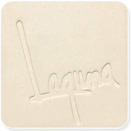 Laguna Clay B-Mix 5 WC401 {1}
