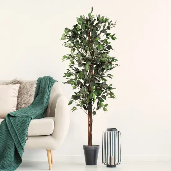 72" Artificial Ficus Silk Tree in Black Pot (2 Pack) {4}