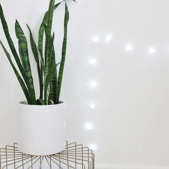 Perfect Holiday 18 LED Crackle Balls Battery Operated Lights - White {2}