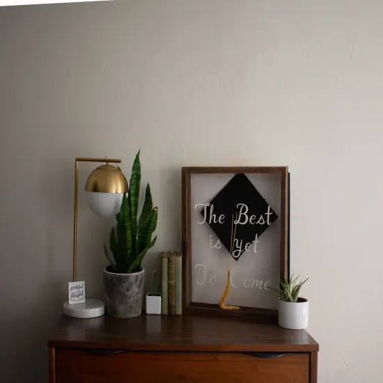 Rustic Farmhouse Reclaimed Wood Shadow Box Display Case {5}