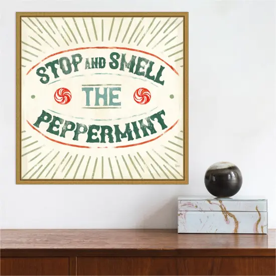 Holiday Likeness IX (Peppermint) by Veronique Charron Canvas Wall Art Print Framed Gold {4}