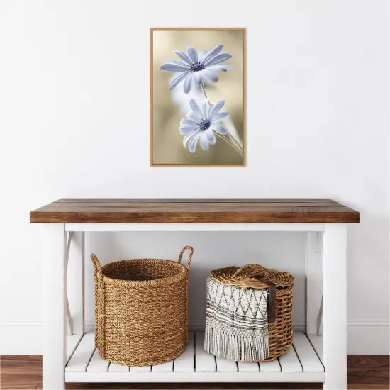 Cape daisies by Mandy Disher Canvas Wall Art Print Framed Natural {5}