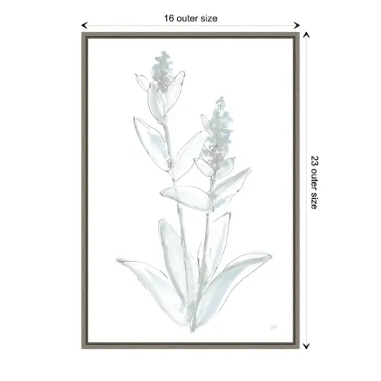 Lambs Ear Sage IV Bleached by Chris Paschke Canvas Wall Art Print Framed Grey {1}