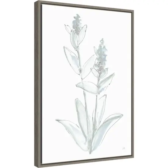 Lambs Ear Sage IV Bleached by Chris Paschke Canvas Wall Art Print Framed Grey {2}