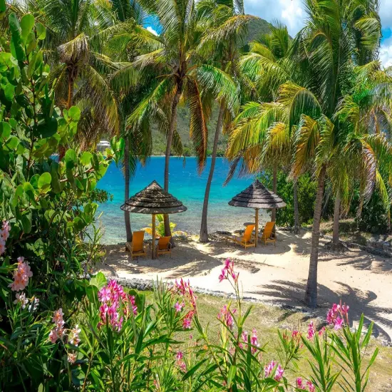 Caribbean Escape Fragrance Oil (Our Version of the Brand Name) (32 oz Bottle) for Candle Making, Soap Making, Tart Making, Room Sprays, Lotions, Car Fresheners, Slime, Bath Bombs, Warmers&hellip; {2}