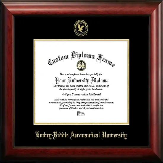 Embry-Riddle Eagles 11wx 8.5h Gold Embossed Diploma Frame {1}