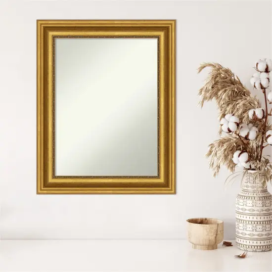 Amanti Art Non-Beveled Wall Mirror, Parlor Black Frame Parlor Gold Frame {5}