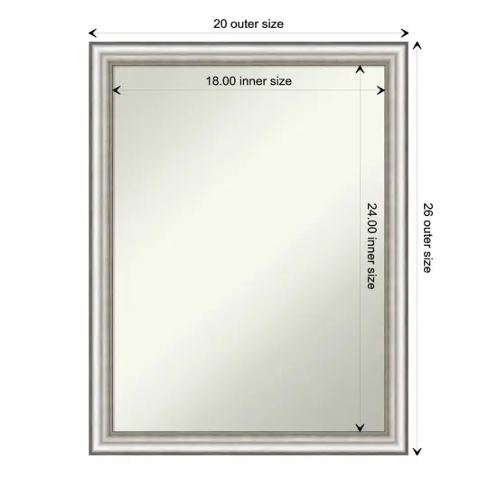 Amanti Art Non-Beveled Wall Mirror, Salon Silver Narrow Frame {1}
