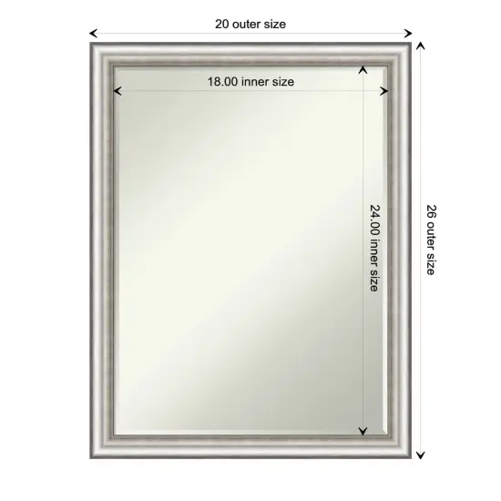 Petite Bevel Wall Mirror, Salon Silver Narrow Frame {1}