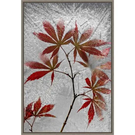 red maple by Secundino Losada 16-in. W x 23-in. H. Canvas Wall Art Print Framed in Grey {1}