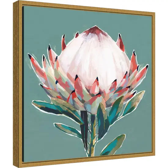Blooming Pink King Protea Flower by Isabelle Z 16-in. W x 16-in. H. Canvas Wall Art Print Framed in Gold {2}