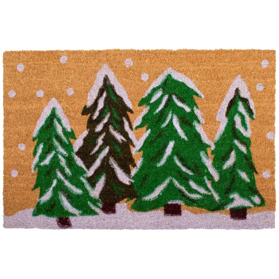 Winter Wonderland Doormat {1}