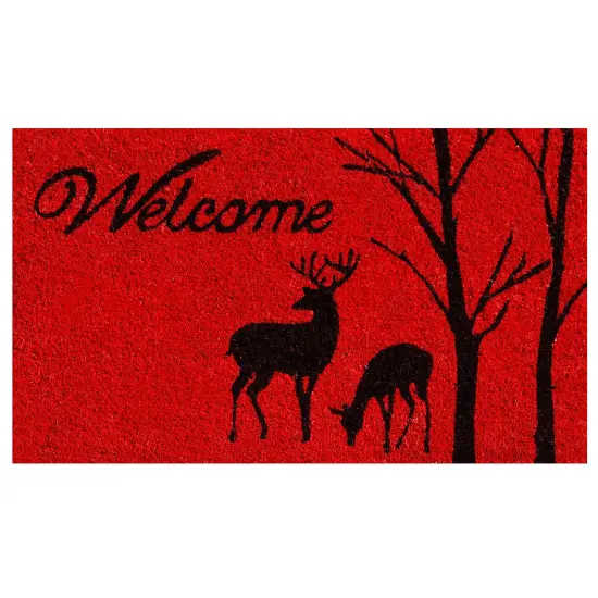 Winter Welcome Doormat {1}