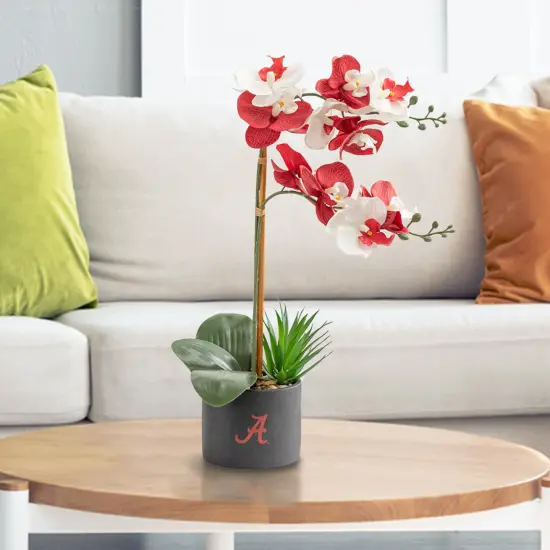 Alabama Orchid Plant - University of Alabama Faux Orchid Plant - Alabama Gifts for Men, Alabama Gifts for Women - Alabama Gifts, Crimson Tide Decorations - Office Accessories for Men {4}