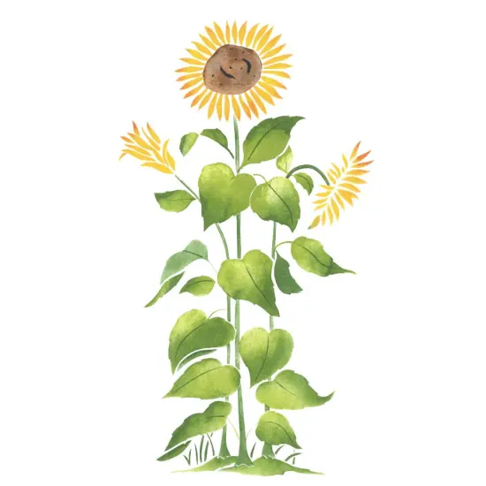 Sunflower Wall Stencil | 2083 by Designer Stencils | Floral Stencils | Reusable Art Craft Stencils for Painting on Walls, Canvas, Wood | Reusable Plastic Paint Stencil for Home Makeover | Easy to Use & Clean Art Stencil {1}