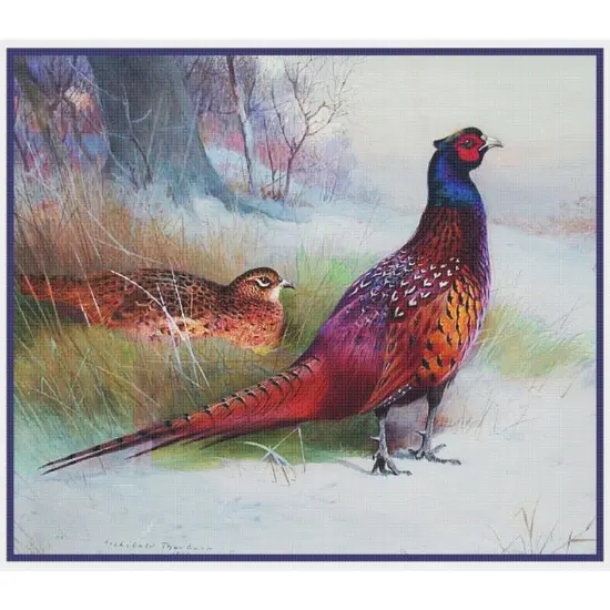 Old English Pheasant Bird By Archibald Thorburn Counted Cross Stitch Pattern {2}