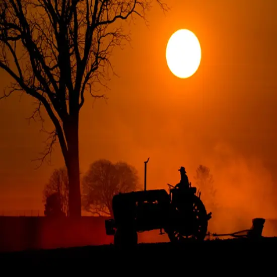 Amish Harvest Fragrance Oil (1 oz Bottle) for Candle Making, Soap Making, Tart Making, Room Sprays, Lotions, Car Fresheners, Slime, Bath Bombs, Warmers&hellip; {2}