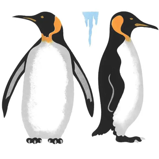 Penguin Wall Stencil | 1468 by Designer Stencils | Animal & Nature Stencils | Reusable Art Craft Stencils for Painting on Walls, Canvas, Wood | Reusable Plastic Paint Stencil for Home Makeover | Easy to Use & Clean Art Stencil {2}