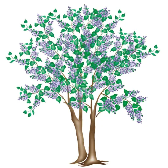 Small Lilac Tree-Shrub Wall Stencil | 2475 by Designer Stencils | Animal & Nature Stencils | Reusable Art Craft Stencils for Painting on Walls, Canvas, Wood | Reusable Plastic Paint Stencil for Home Makeover | Easy to Use & Clean Art Stencil {1}