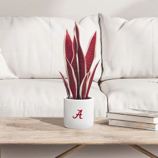 Alabama Snake Plant - University of Alabama Faux Snake Plant - Alabama Gifts for Men, Alabama Gifts for Women - Alabama Gifts, Crimson Tide Decorations - Office Accessories for Men {2}
