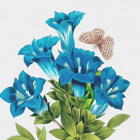 Orenco Originals Redoute Blue Gentian Flower Counted Cross Stitch Pattern {2}