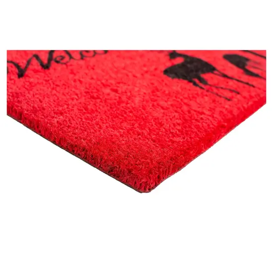 Winter Welcome Doormat {4}