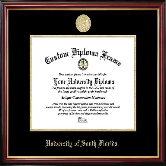 South Florida University Bulls Petite Diploma Frame {1}