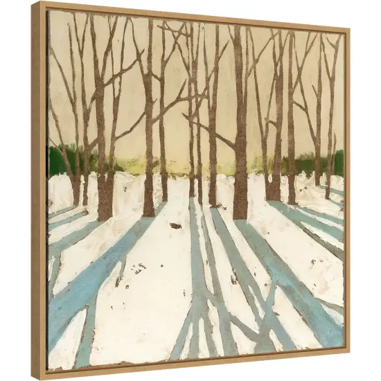 Winter Shadows II by Megan Meagher 22-in. W x 22-in. H. Canvas Wall Art Print Framed in Natural {1}