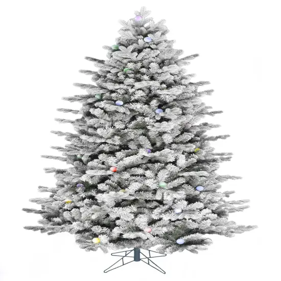 Perfect Holiday Pre-lit Large Bulb Snow Flocked Grand Noble Fir {1}